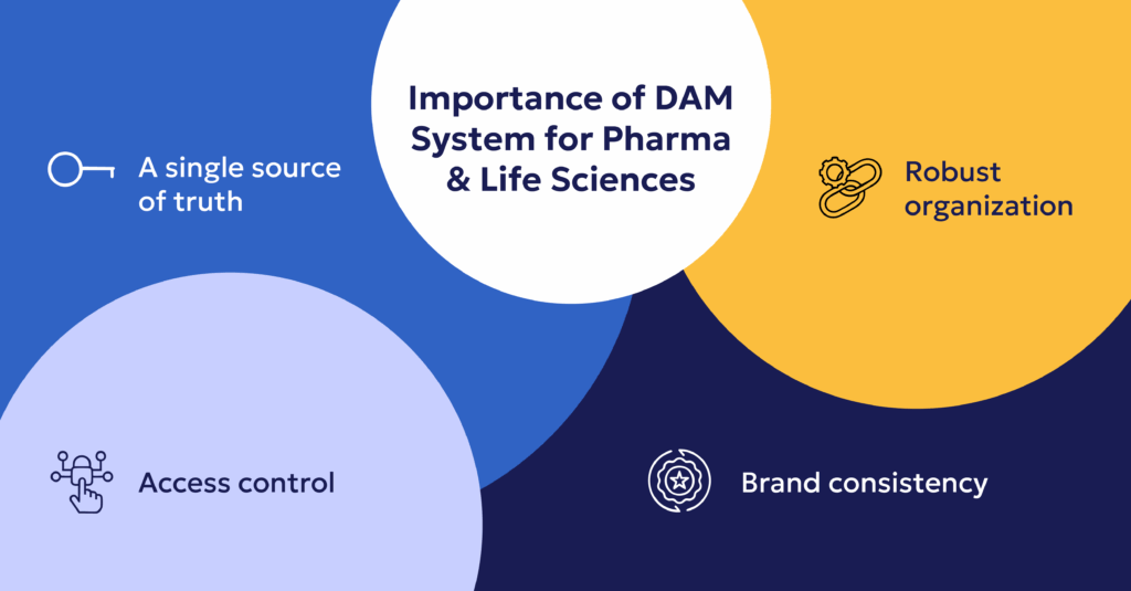 Why Pharma and Life Sciences Need DAM